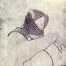 Profilbild von ΛHMED ُ M