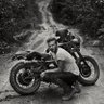 's profile picture