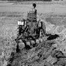 UnAgricultorAlmeriense🍅🫑🍆🥒🍉🌶🇪🇸 profil fotoğrafı