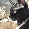 Profilbild von michu