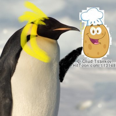 LeaguePenguins's profile picture