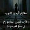 حميري profil fotoğrafı