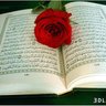 Фото профиля تأملات قرآنية
