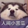 Profilbild von sizel