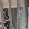Фото профиля なんたら