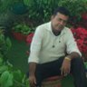 Profilbild von DR SHEELENDRA M BHATT