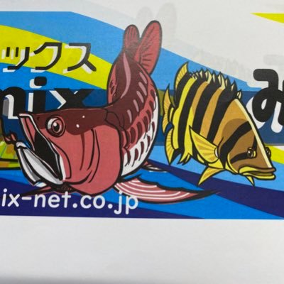 リミックスみなと熱帯魚's profile picture