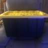 Plastic Totes 的头像
