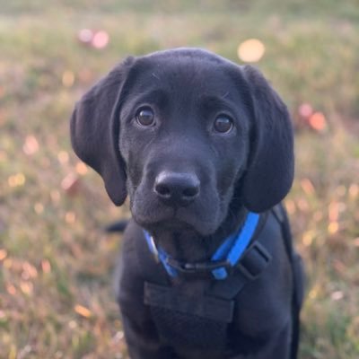 Jake's profile picture