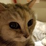 オンヒー profil fotoğrafı