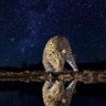 عمر المختار's profile picture