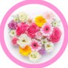 YokoZikZin's profile picture