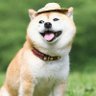 JDub Lee's profile picture