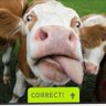 Mike meehan profil fotoğrafı