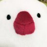 こぶまき's profile picture