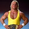 Mr Perfect's profile picture