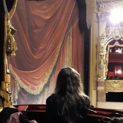 Carnets d'opéra's profile picture