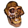 Cultura y evolución profil fotoğrafı