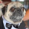 Justin Frank's profile picture