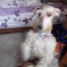 Jorge Salazar Vivas's profile picture