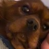 iamheremf's profile picture