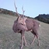 Profilbild von ãããºã£ã¡