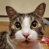 とも君ののんびりリハビリ生活's profile picture