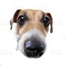 higgins's profile picture