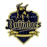 Profilbild von Bs_News🐃オリックス情報