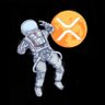 XRP Moonie's profile picture