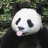 Mike's profile picture