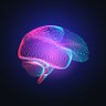 Profilbild von Reem Almutairi 🧠