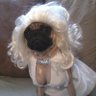 an__ss's profile picture