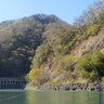 中村中村 的头像