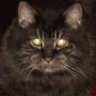 Profilbild von Bunnysec