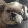 Kikinha's profile picture