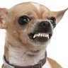 Profilbild von Erica
