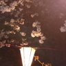 Фото профиля 大平空島で十文字涼一郎