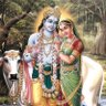 Фото профиля singh rawat
