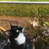 Jacinthe profil fotoğrafı