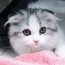Profilbild von おでこ