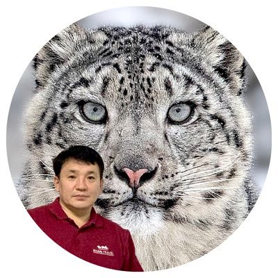 Batzaya Photography's profile picture