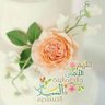 Фото профиля عدن أمي