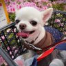 きーたん profil fotoğrafı