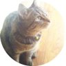 Profilbild von Haznana