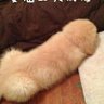 longlong 的头像