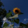 Фото профиля Trudi_August