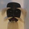 🇩🇪 ToyThomas's profile picture