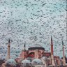 ر. profil fotoğrafı