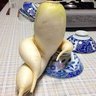 努力奔跑的萝卜's profile picture